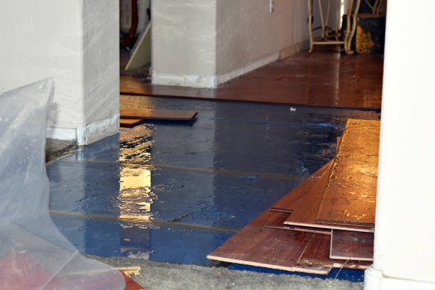 Professional Basement Flood Cleanup technician working in Carey, ID